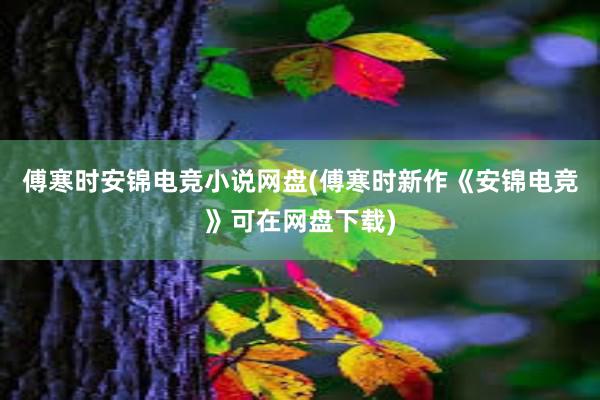 傅寒时安锦电竞小说网盘(傅寒时新作《安锦电竞》可在网盘下载)