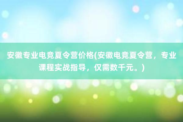 安徽专业电竞夏令营价格(安徽电竞夏令营，专业课程实战指导，仅需数千元。)