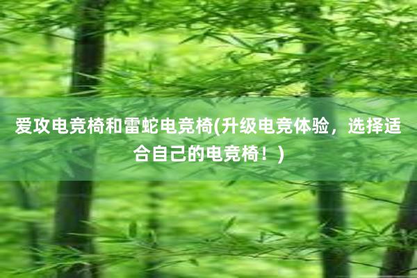 爱攻电竞椅和雷蛇电竞椅(升级电竞体验，选择适合自己的电竞椅！)