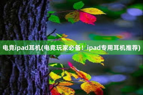 电竞ipad耳机(电竞玩家必备！ipad专用耳机推荐)