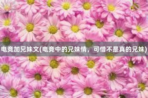 电竞加兄妹文(电竞中的兄妹情，可惜不是真的兄妹)