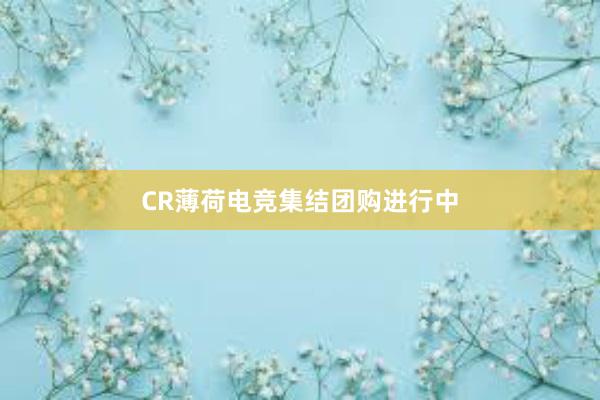 CR薄荷电竞集结团购进行中