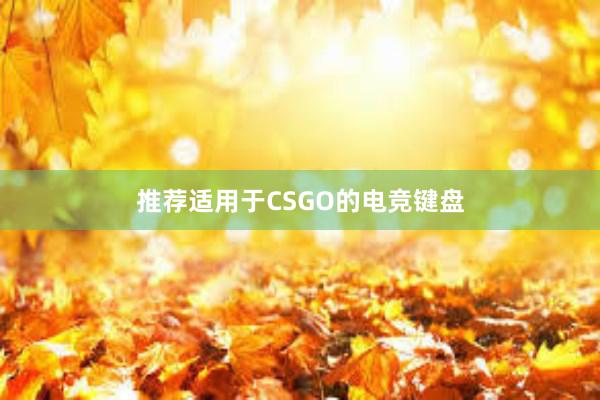 推荐适用于CSGO的电竞键盘