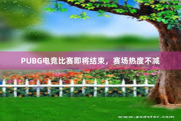 PUBG电竞比赛即将结束，赛场热度不减