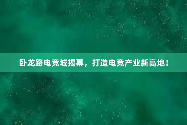 卧龙路电竞城揭幕，打造电竞产业新高地！