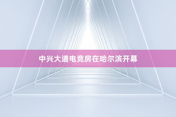 中兴大道电竞房在哈尔滨开幕