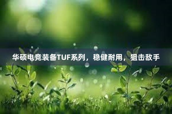 华硕电竞装备TUF系列，稳健耐用，狙击敌手