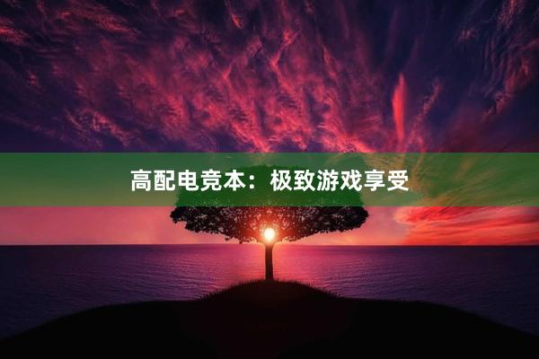 高配电竞本：极致游戏享受