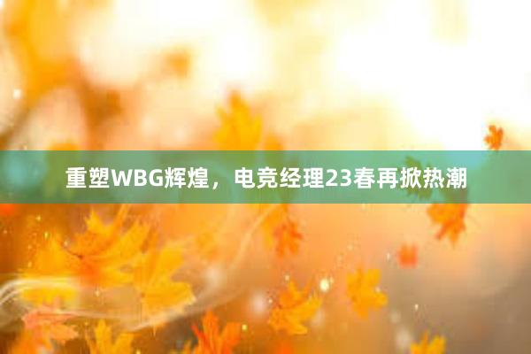 重塑WBG辉煌，电竞经理23春再掀热潮