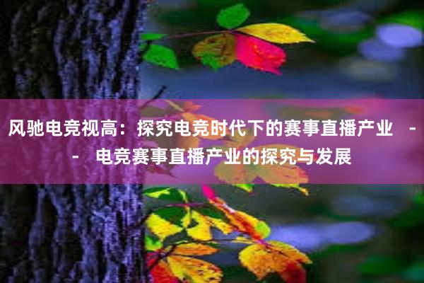 风驰电竞视高：探究电竞时代下的赛事直播产业   --   电竞赛事直播产业的探究与发展